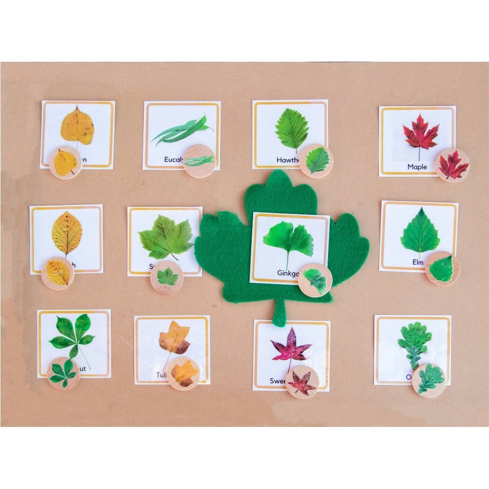 Montessori Materials | Montessori Toys | Waldorf